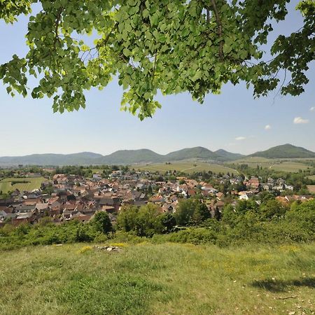 Hotel Wein-Domizil Brennofen Ilbesheim bei Landau in der Pfalz Esterno foto